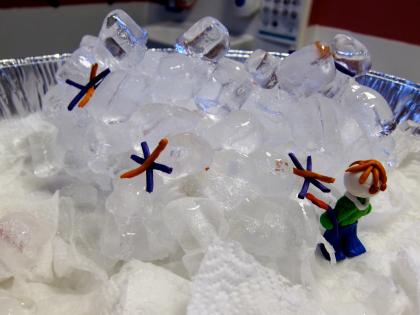 Ice sculptures, Cloudlands with artist Rachel Tynan