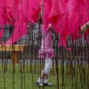 Flags of Intention. Kilkenny Arts Festival