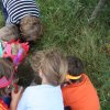 Little Wild Things  - Arts & Nature summer camp