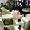 Butler Gallery - Artist in Primary School residency - Education and Outreach programme