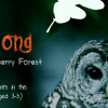 The Lost Song and the Creatures of Whistleberry Forest