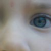 ’Selfies and Snails’ Early Years photography project