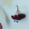 Artist / Teacher Partnership, Leitrim County Council